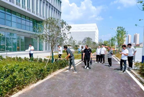 蔡甸推動高質量發(fā)展 為市民辦實事